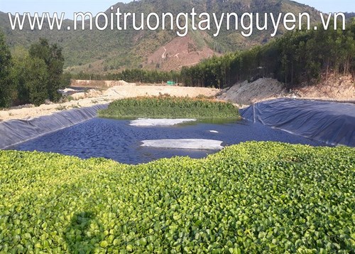 Hệ thống xử lý nước thải trang trại - Công Ty TNHH Thương Mại Và Dịch Vụ Môi Trường Việt